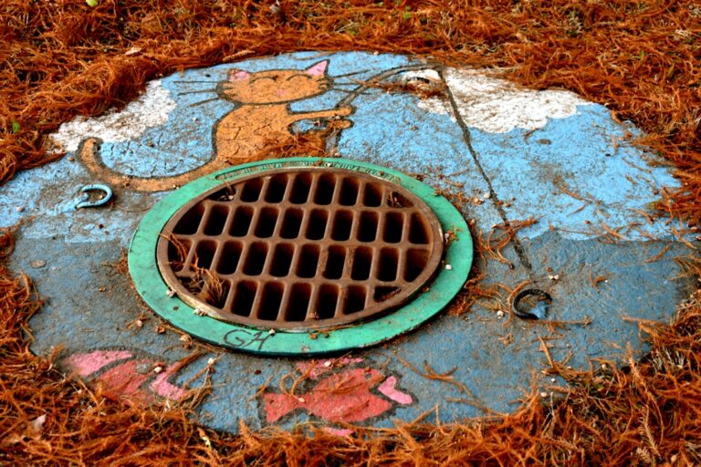 sewer clean out contractor franklin il